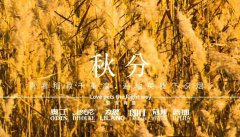 秋分丨晝夜分畫(huà)，漸入秋華