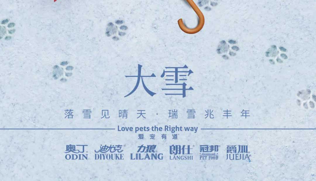 大雪丨雪落知寒意 久伴見(jiàn)初心！