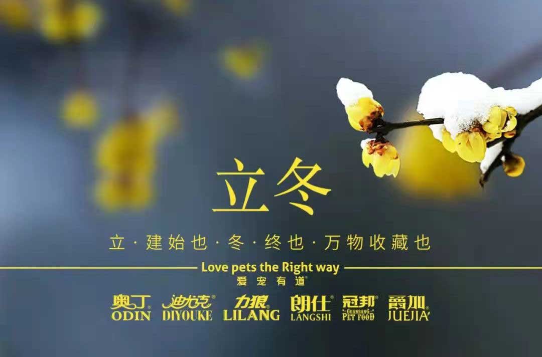 立冬丨冬寒初始，情暖愈濃